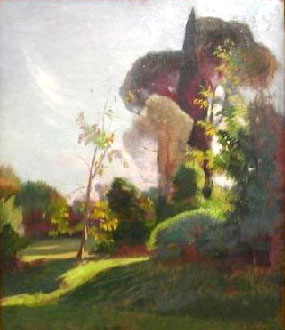 Viale a Villa Strohl - Fern