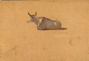 La mucca seduta